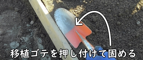 縁は、移植ゴテで固める