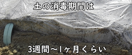 太陽熱消毒の期間は、約3週間～1ヶ月