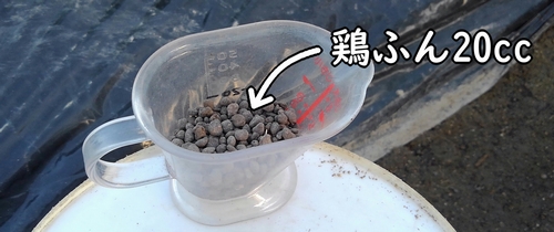 キャベツの追肥に使う鶏糞