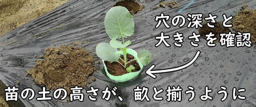 穴の深さと大きさを確認