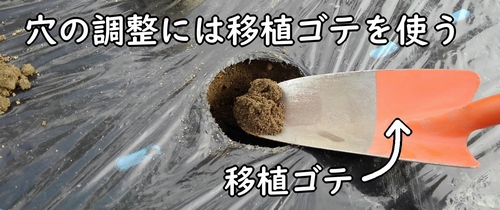 穴の調整には移植ゴテを使う