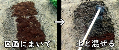 肥料と土を混ぜる