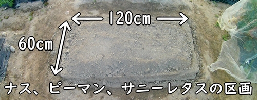 ナスとピーマンとサニーレタスの栽培区画