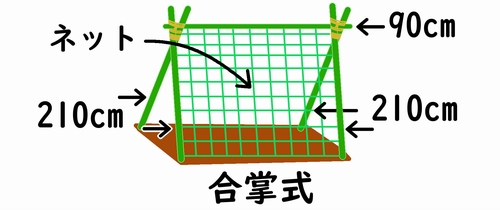 空中栽培の支柱の立て方