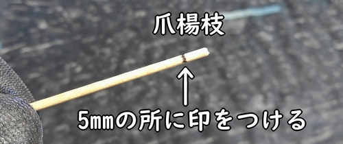 サニーレタス（リーフレタス）の種まきに使う爪楊枝