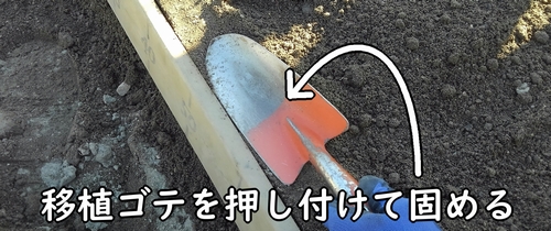 畝の縁は移植ゴテで固める