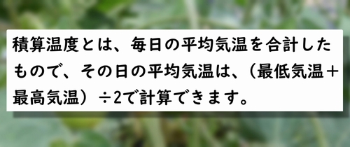 積算温度とは？