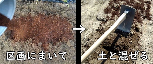 のらぼう菜の肥料を土に混ぜ込む