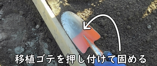 畝の縁は、移植ゴテを使って固める