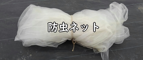 カブの虫除けに使う防虫ネット