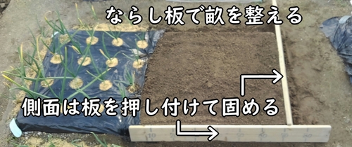 土作り後は、じゃがいも（馬鈴薯）の畝を立てる