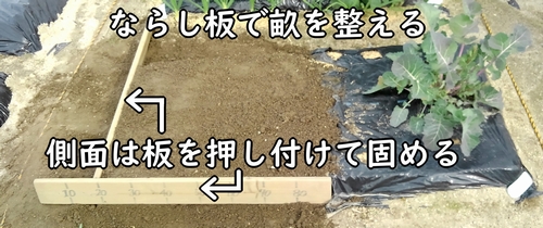 土作り後は、きゅうり（胡瓜）の畝を立てる