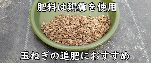 玉ねぎの追肥には鶏糞を使用