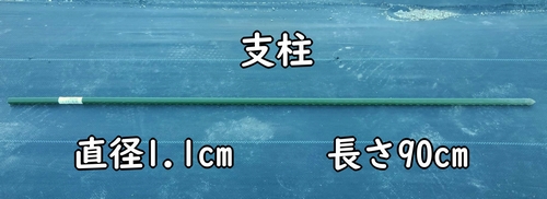 きゅうりのそばに立てる支柱（短い支柱でキュウリの若い株を支える）