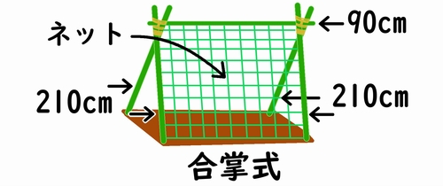 きゅうりの支柱の立て方は、合掌式がおすすめ（きゅうりの支柱の組み方）