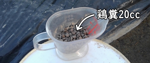 とうもろこし(とうきび・トウモロコシ)の追肥に使う鶏糞(有機質肥料)