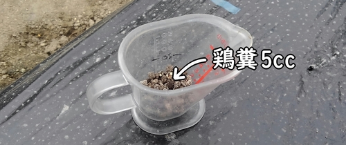 じゃがいもの追肥に使う鶏糞(馬鈴薯・ジャガイモのおすすめ肥料)