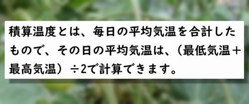 積算温度とは?