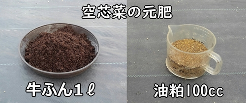 空芯菜に必要な肥料(クウシンサイ・エンツァイ栽培の元肥)