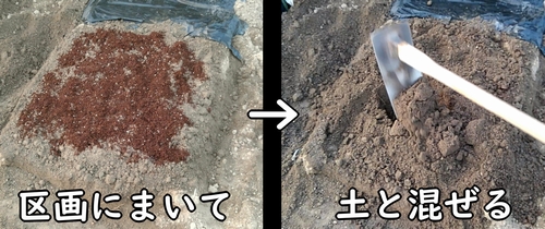空芯菜の肥料を土に混ぜ込む(クウシンサイ・エンサイの元肥を土に施肥する)