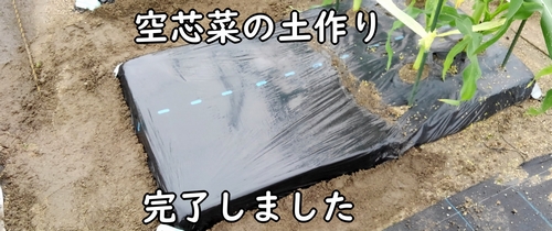 空芯菜(クウシンサイ・エンサイ)の種まき前の土作り完了です