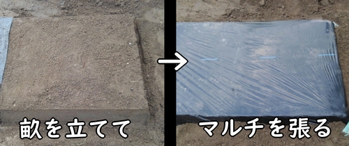 いんげんの畝作り(さやいんげん・いんげん豆の栽培区画に畝を立てる)