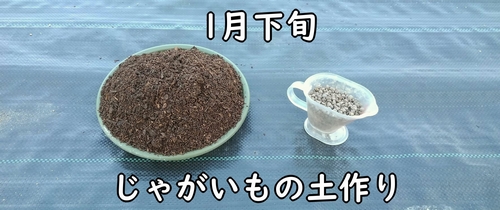 じゃがいもの元肥(馬鈴薯・ジャガイモの土作りに使う肥料)