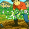 芽キャベツの土作り