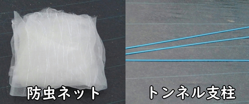 芽キャベツの害虫対策に使うネットと支柱