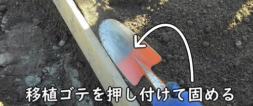 畝の縁は、移植ゴテを使って固める