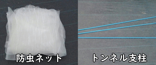 春菊（しゅんぎく・菊菜）の害虫対策に使うネットと支柱
