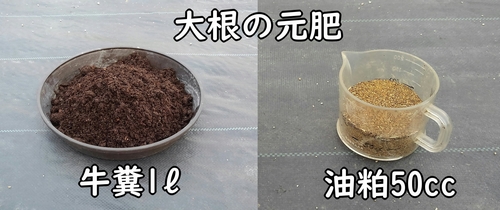 大根の土作りに必要な元肥(ダイコン・ミニ大根のおすすめ肥料)