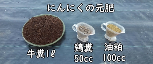 にんにく栽培に必要な肥料(大蒜・ニンニクの元肥)