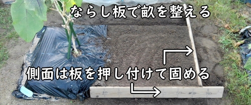 土作り後は、ニンニク(大蒜・にんにく)の畝を立てる