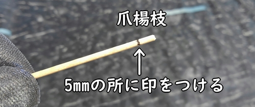 春菊(しゅんぎく・菊菜・シュンギク)の種まきに使う爪楊枝