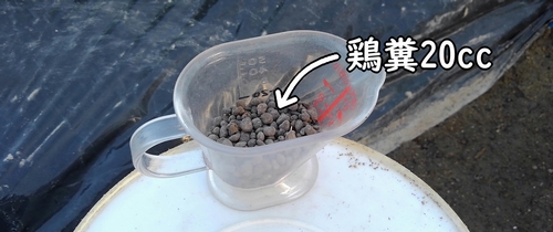 芽キャベツの追肥に使う鶏糞（芽キャベツのおすすめ肥料）