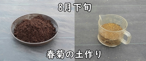 春菊の栽培に使う肥料(種まき前に施しておく菊菜・しゅんぎくの肥料)