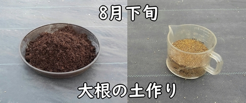大根の栽培に使う肥料(種まき前に施しておくダイコン・ミニ大根の肥料)