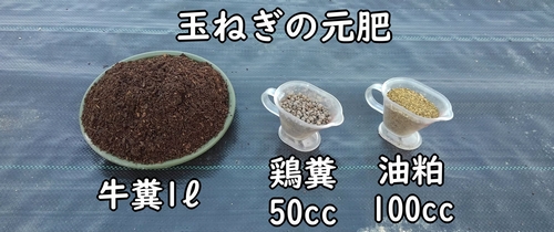 タマネギ栽培に必要な肥料(玉葱・たまねぎの元肥)