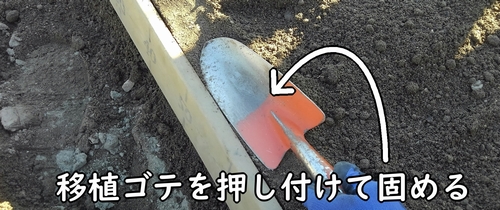畝の縁は、移植ゴテを使って固める