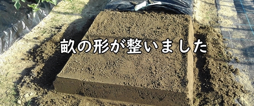 たまねぎ(玉葱・タマネギ)の畝の形が整いました