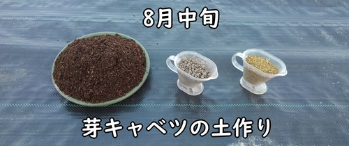 芽キャベツの栽培に使う肥料(芽キャベツの元肥)