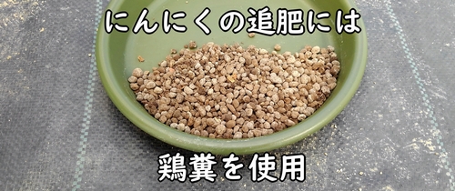 にんにくの追肥に使う鶏糞(有機栽培の大蒜・ニンニクには、鶏糞がおすすめ)