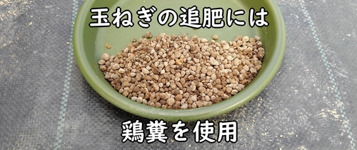 玉ねぎの追肥に使う鶏糞（有機栽培のタマネギ・玉葱には、鶏糞がおすすめ）