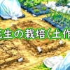 落花生(ピーナッツ)の土作り:落花生の施肥と畝立て