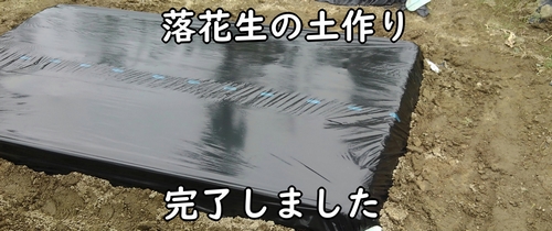 落花生(らっかせい・ピーナッツ)の種まき前の土作り完了です